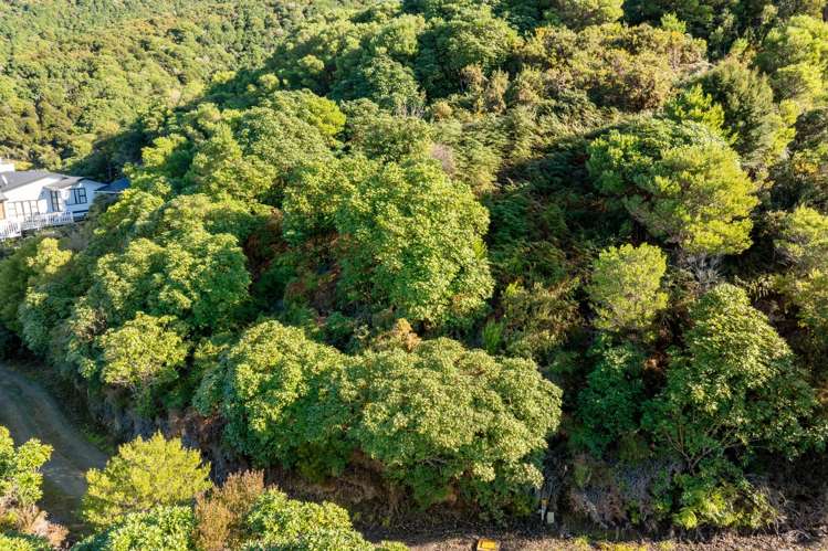 37 Marina Drive Waikawa_6