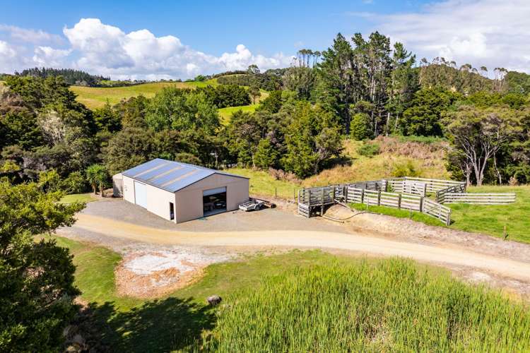 64 De Boer Lane Mangawhai_3