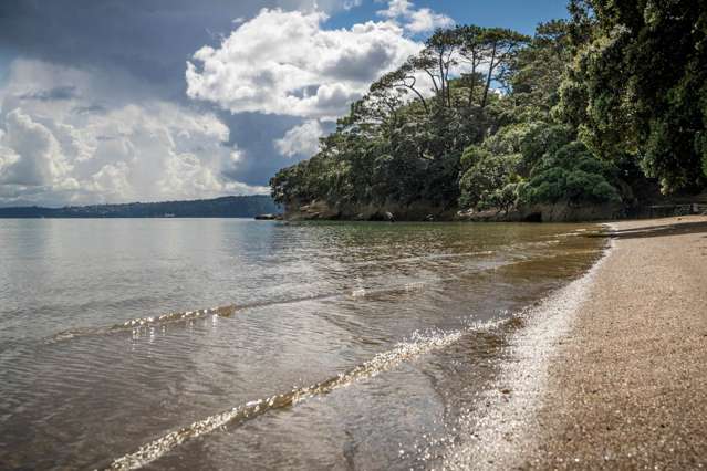 8/282 Point Chevalier Road Pt Chevalier_2