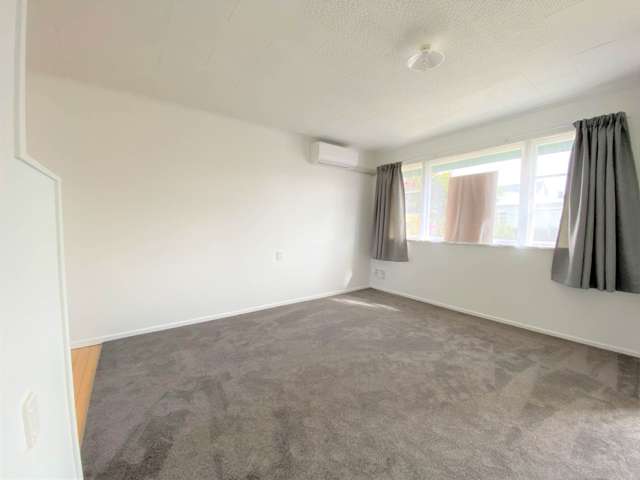 1a Bathurst Road Mount Eden_2