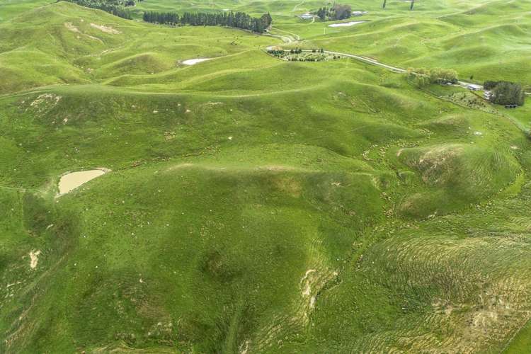 209 Pattison Road Waipukurau_32