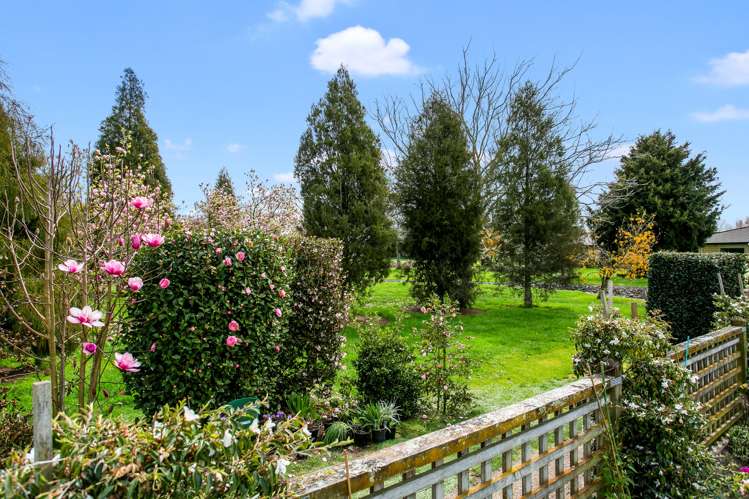 23/11 Manuka Street Matamata_18