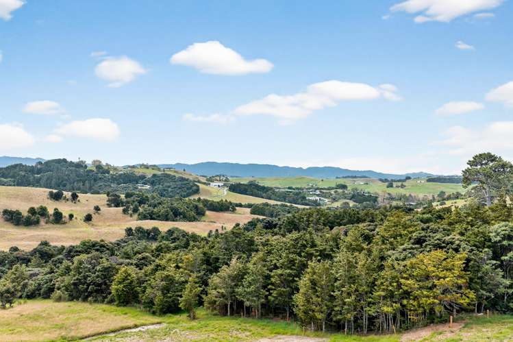Mangawhai Bush Estate Mangawhai_20