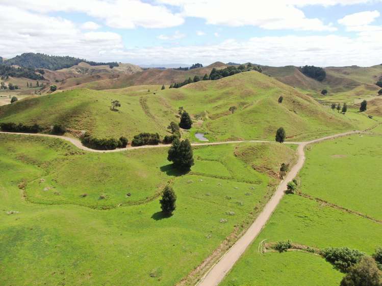 921 Ohura Road Aria_10