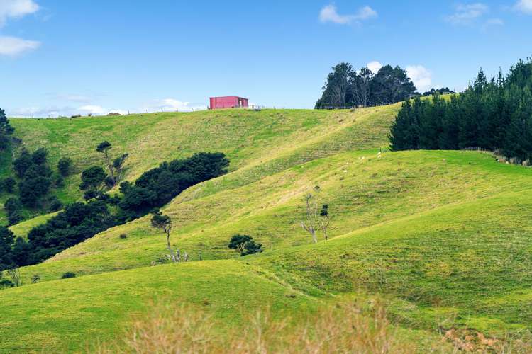 17 Rauta Way Helensville_14