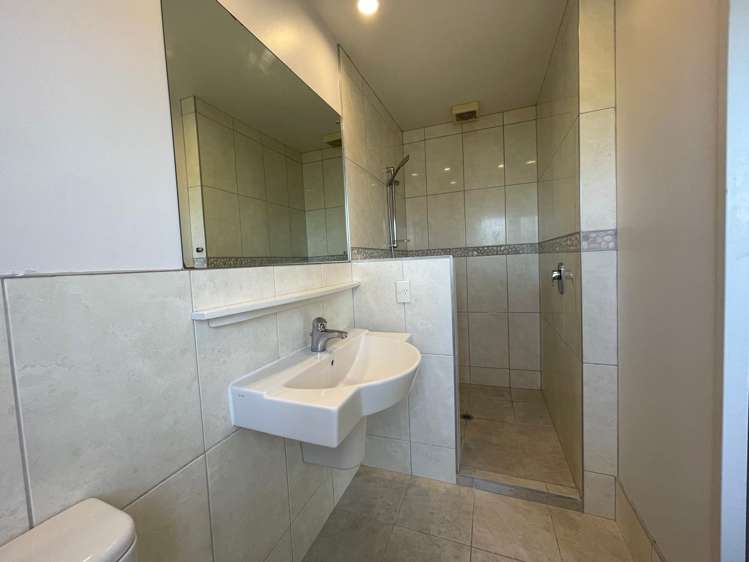 509A Hillsborough Road Mount Roskill_7