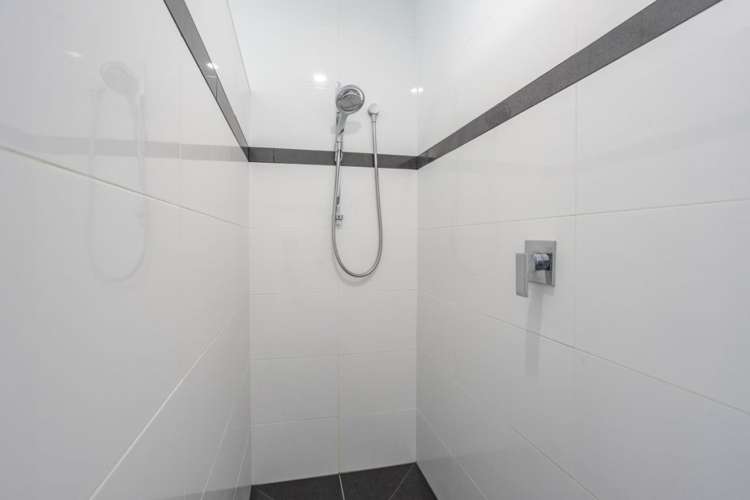 1 Tommy Street Pegasus_15