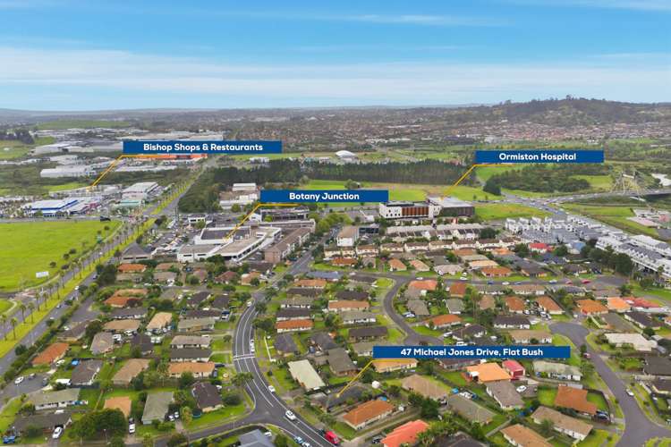 47 Michael Jones Drive Flat Bush_19