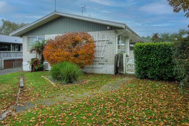 236 Raeburne Street Te Awamutu_3