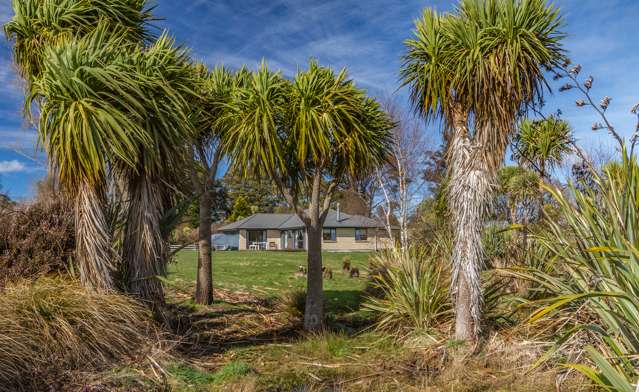 181 Mangawhero River Road Ohakune_3