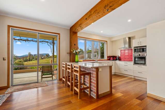 1 Hollyhock Lane Wanaka_2