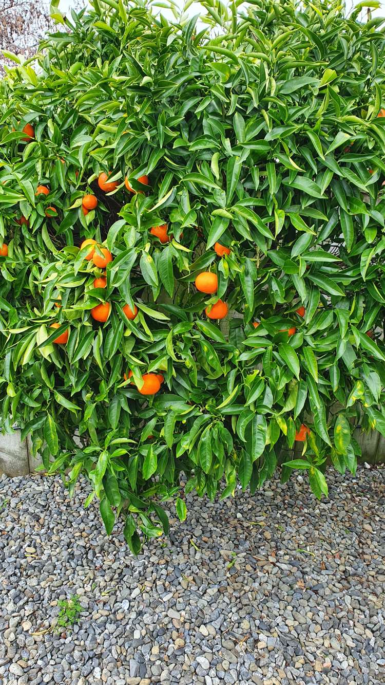 7 Aburoc Place Paraparaumu Beach_18