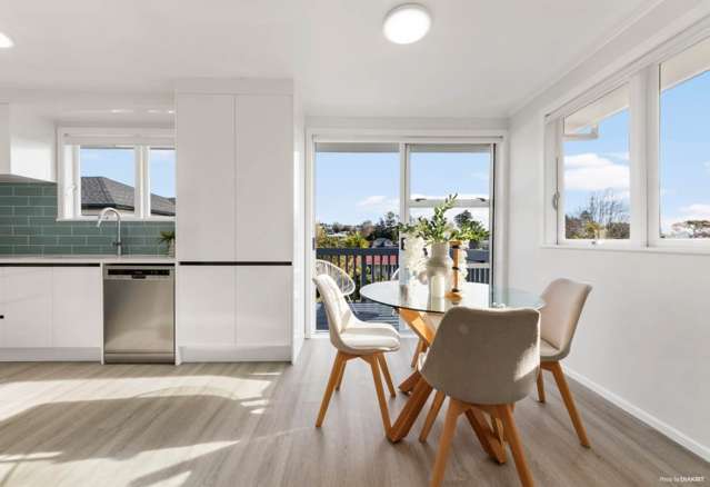 22 Ellis Avenue Mt Roskill_2