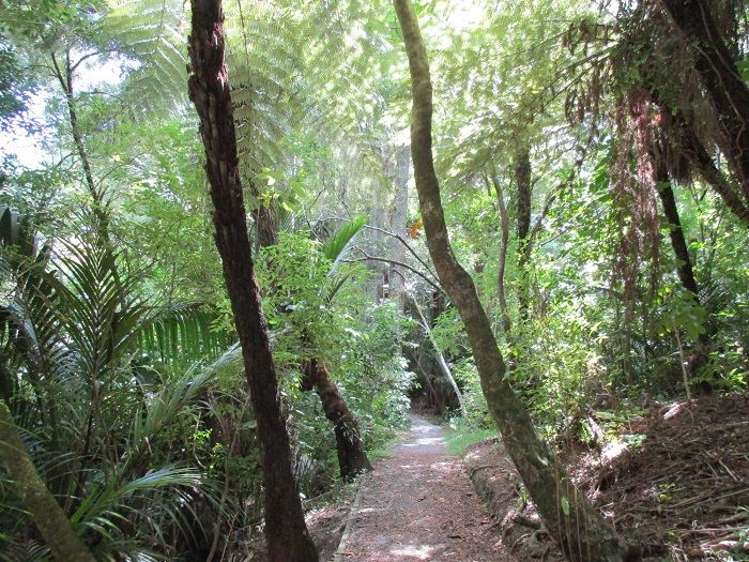 798 South Titirangi Road Titirangi_1