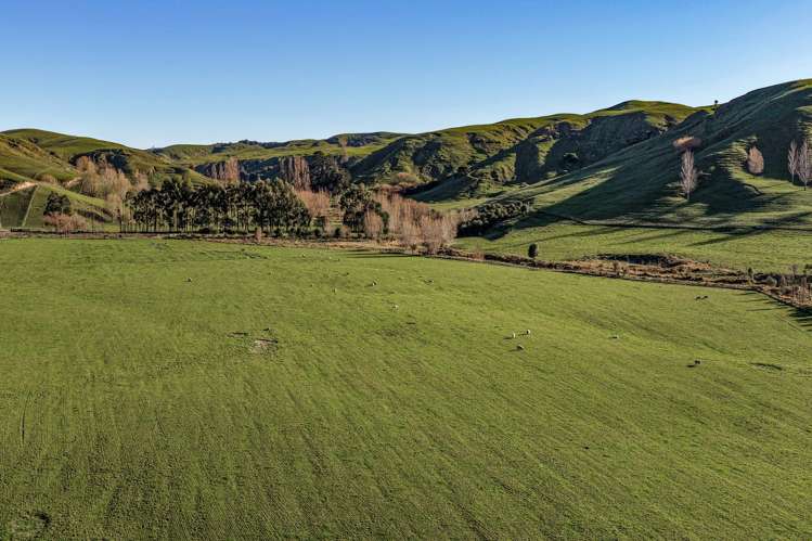 717k Puketitiri Road Puketapu_32