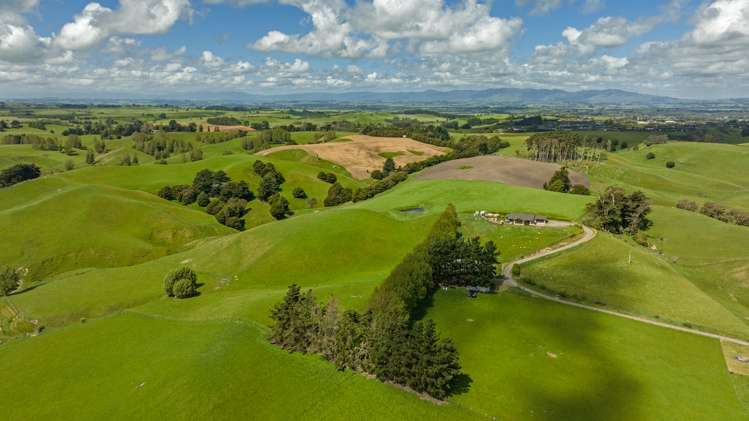 268 Halcombe Road Feilding_31