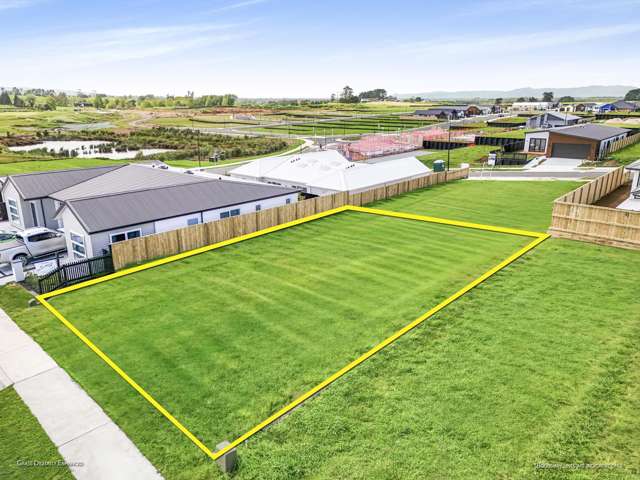 24 Harp Street Morrinsville_1