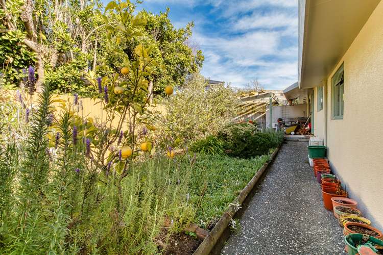 42/3 Campbell Street Havelock North_21