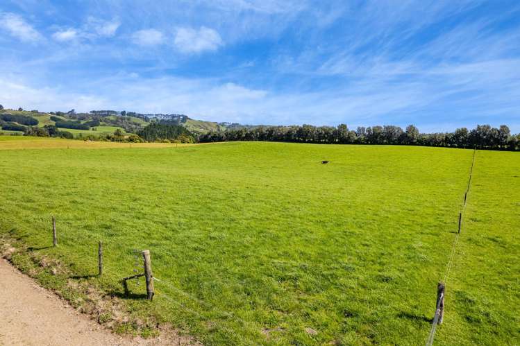 226 Pukearuhe Road Mimi_5