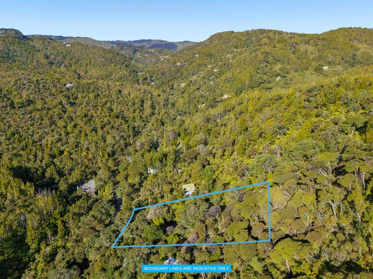 31 Lone Kauri Road Karekare_28