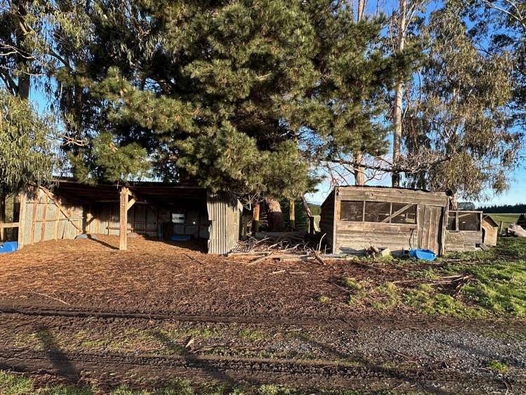 520 Milton Highway Balclutha_9