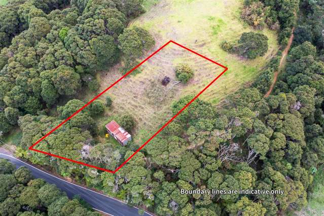 65 Grassmere Road Henderson Valley_2