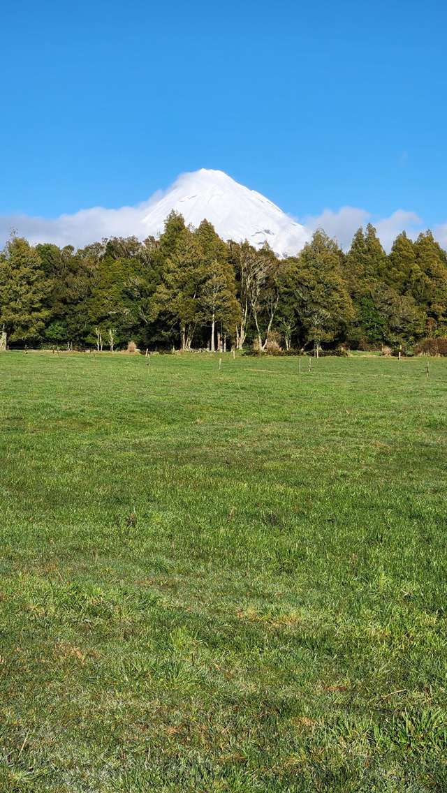 356 Norfolk Road Inglewood_4