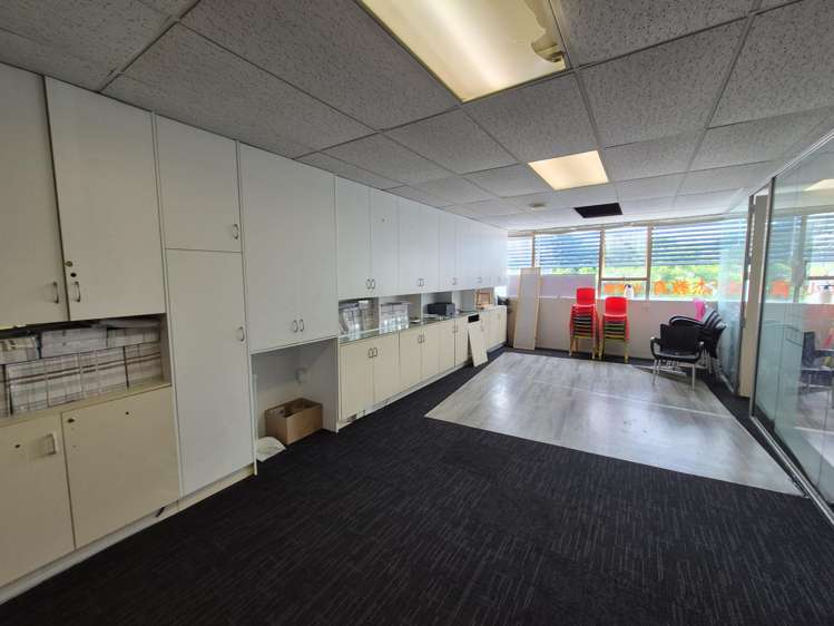 123 Manukau Road Epsom_11