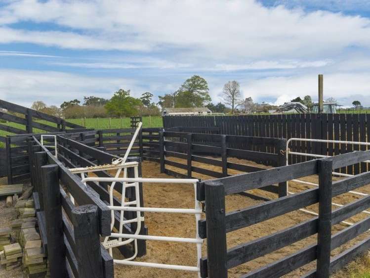 273 Kaipaki Road Ohaupo_19