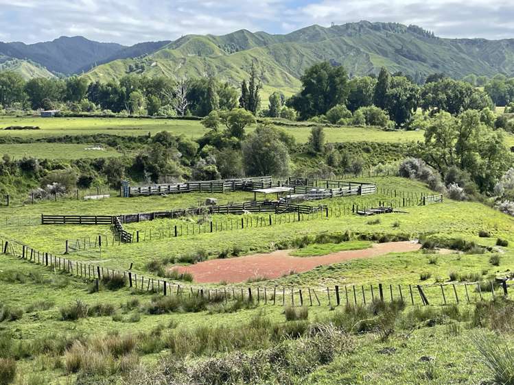 851 Awamate Road Frasertown_19