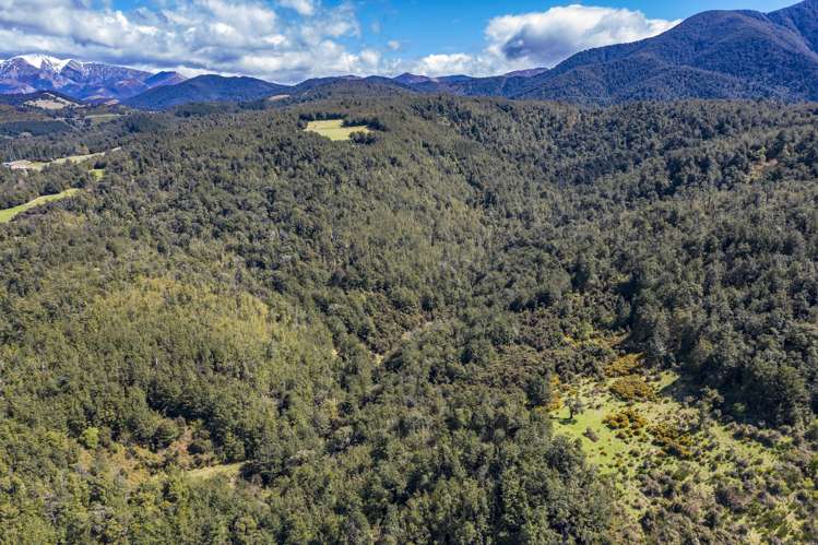 254 New Road Oxford_10