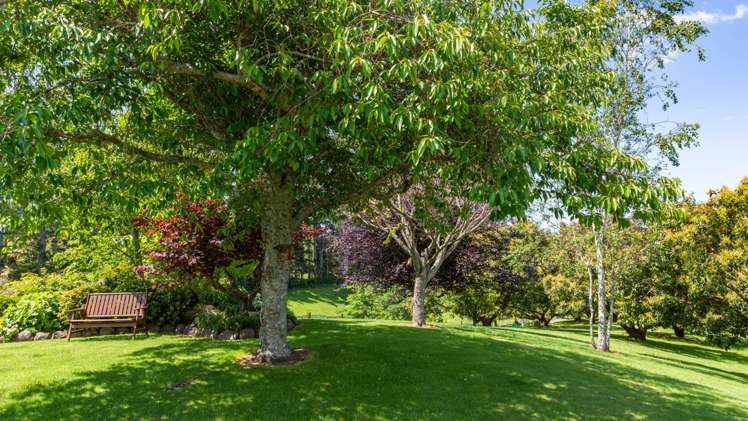 27b Walker Road West Aongatete_3
