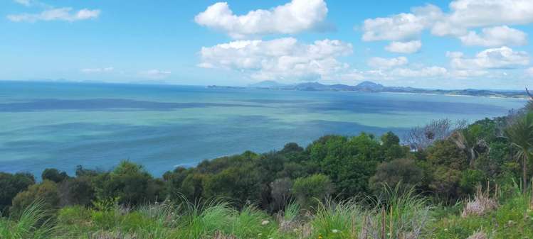 146 Lawson Drive Tutukaka_8