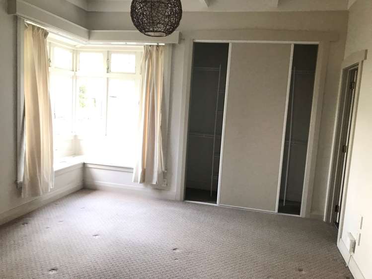 10 Woodbine Avenue Greenlane_6