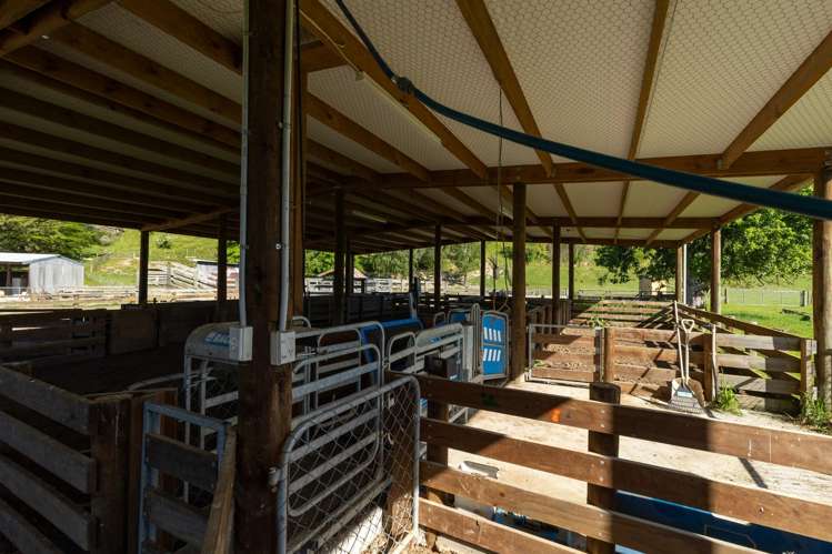 281 Tadmor Valley Road Tapawera_18