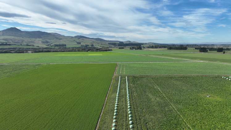 104 Irthing Street Castlerock_8