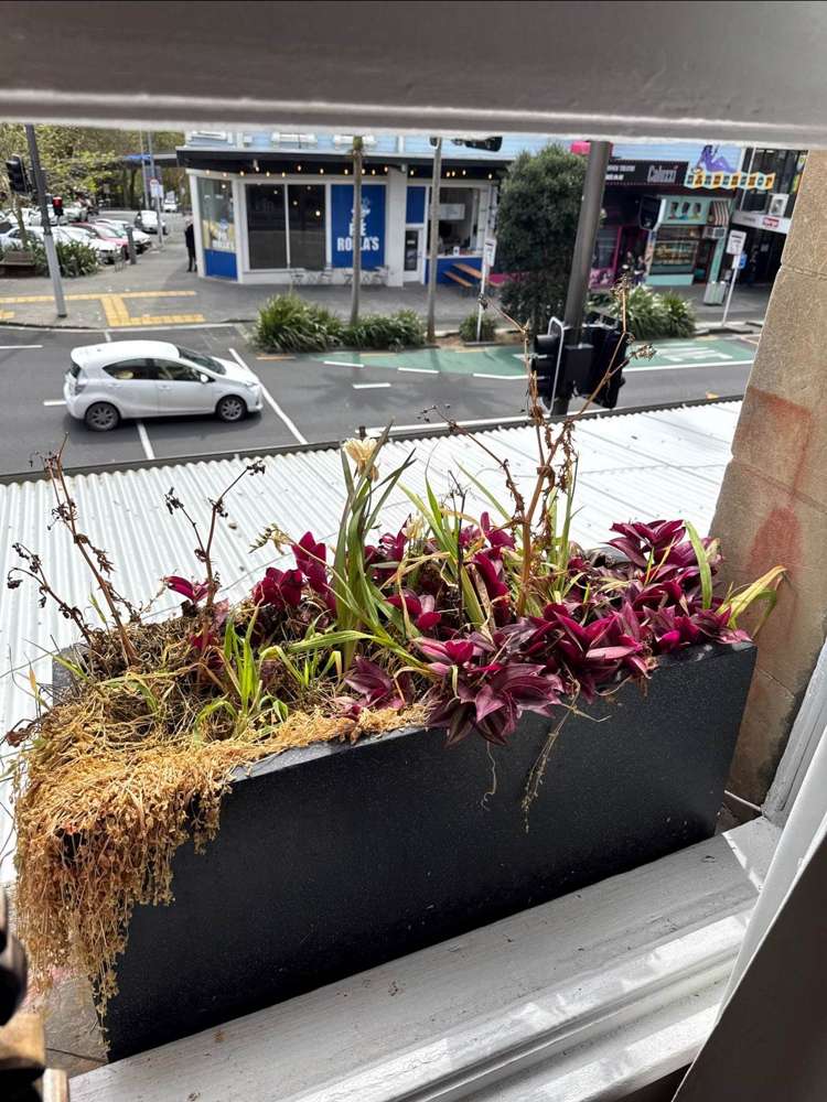 B/456 Karangahape Road City Centre_6