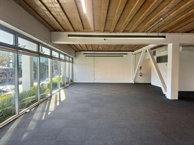 17 Maidstone Street Grey Lynn_1