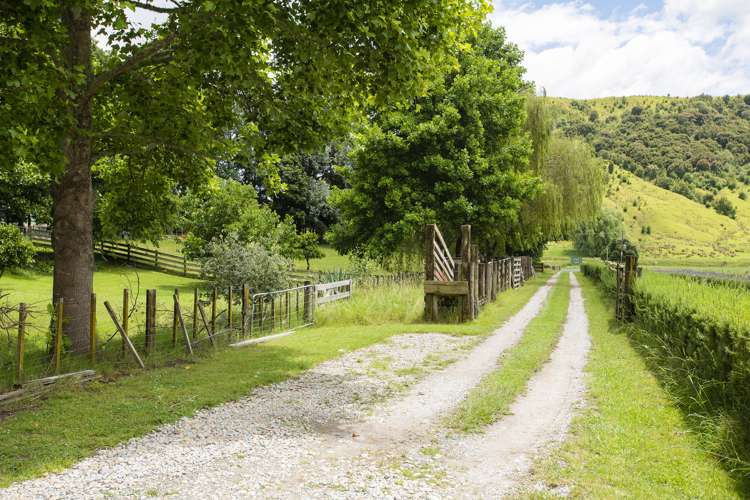 102 Ormond Valley Road Ormond_18