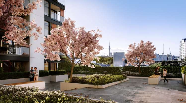 303/9 Madeira Lane Grafton_1