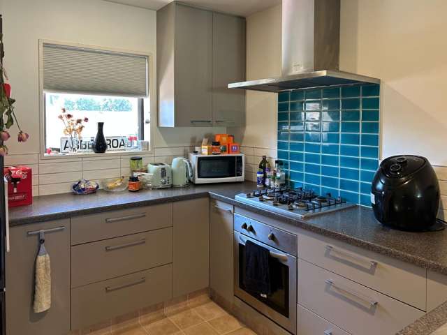 63e Huxley Street Sydenham_1