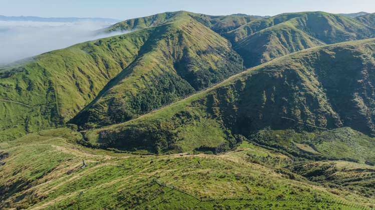 1311 Pahiatua Pongaroa Road Pahiatua_10