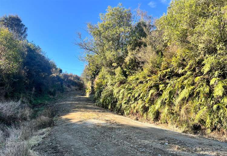 Arnold Valley Road Moana_10