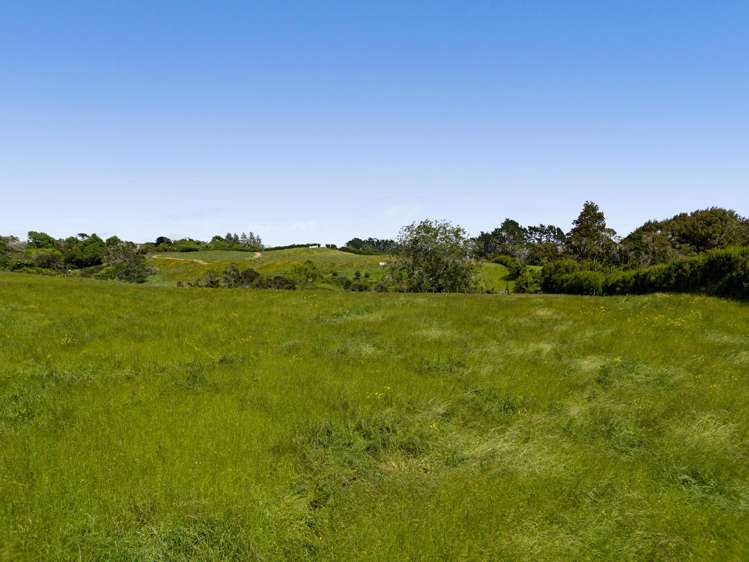 Lot 1 Mangorei Road Mangorei_7