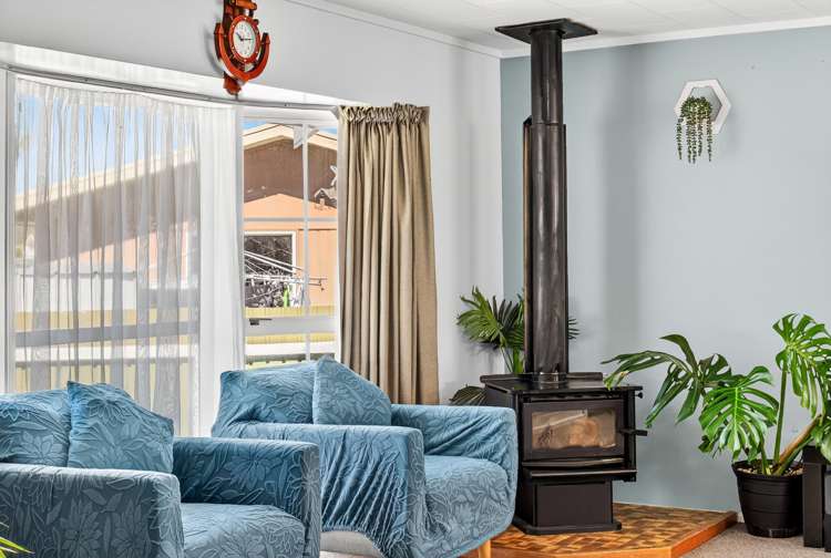 20 Norfolk Street Tamatea_5