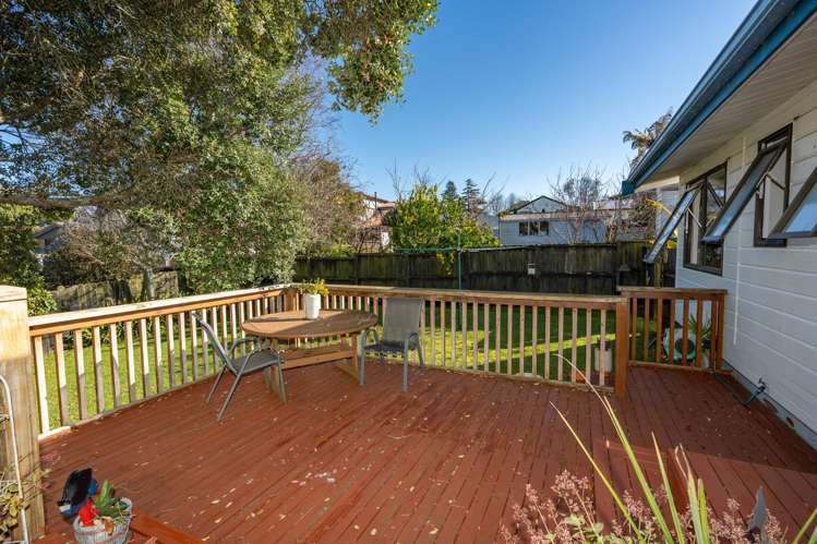 149A Ellicott Road Nawton_13