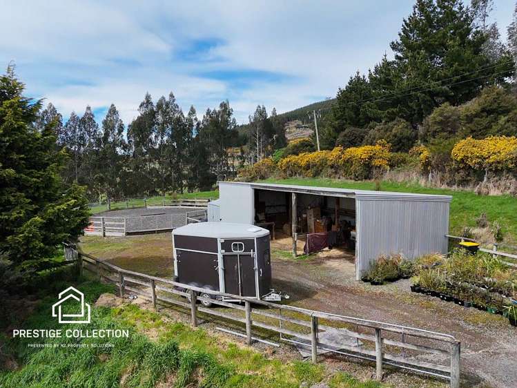 127 Green Road Mt Cargill_5