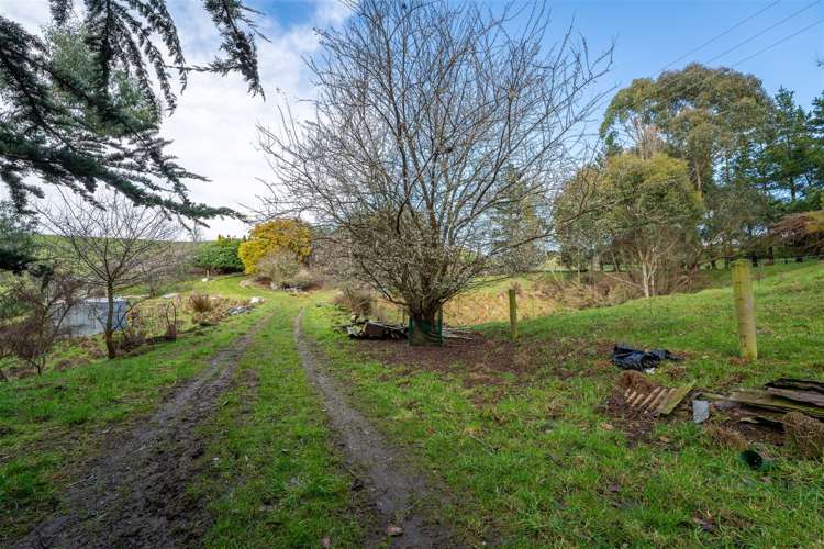 3763 Hampden-Palmerston Road Moeraki_11