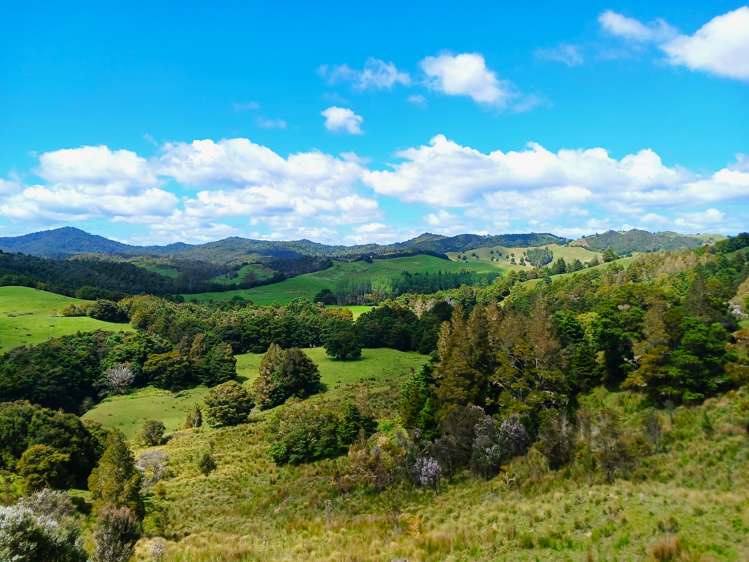 Lot 2 Otangaroa Road Kaeo_11