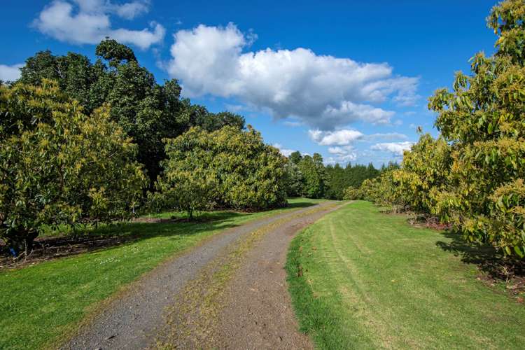 131 Tatton Road Maungatapere_18